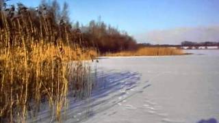 preview picture of video 'Winter am Flachwasserspeicher Sadenbeck'