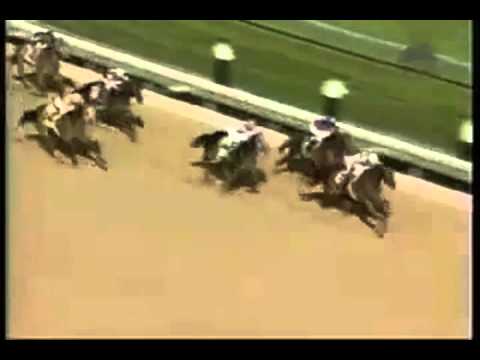 kentucky derby 2003 finish