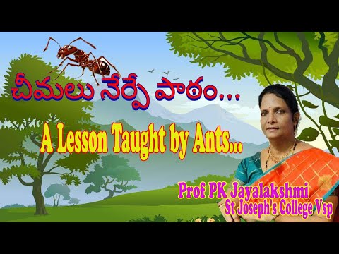 Fishing Harbour Boat Fired | హార్బర్‌లో ఓ బోటు అగ్నిప్రమాదం చోటుచేసుకుంది | Visakhapatnam | Vizagvision