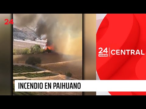 Viviendas afectadas tras incendio en Paihuano | 24 Horas TVN Chile