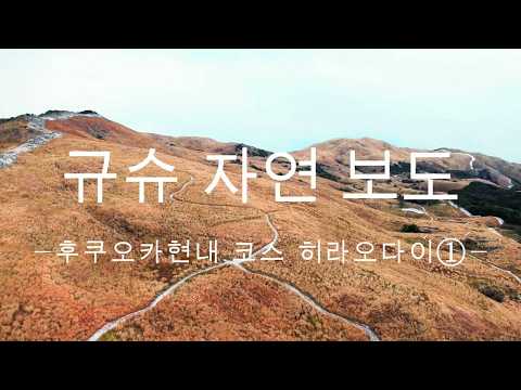 규슈 자연보도 후쿠오카현 히라오다이 코스①