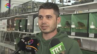 600 ΚΑΝΑΡΙΝΙΑ ΣΤΗΝ 12η ΔΙΑΓΩΝΙΣΤΙΚΗ ΕΚΘΕΣΗ ΤΟΥ ΛΑΡΙΣΑΪΚΟΥ ΣΥΛΛΟΓΟΥ ΚΑΝΑΡΙΝΟΦΙΛΩΝ 07 11 2025 600 ΚΑΝΑΡΙΝΙΑ ΣΤΗΝ 12η ΔΙΑΓΩΝΙΣΤΙΚΗ ΕΚΘΕΣΗ ΤΟΥ ΛΑΡΙΣΑΪΚΟΥ ΣΥΛΛΟΓΟΥ ΚΑΝΑΡΙΝΟΦΙΛΩΝ 07 11 2025