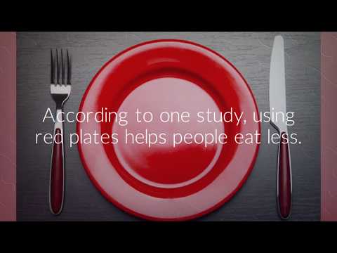 download lagu mp3 mp4 Blue Plates For Weight Loss, download lagu Blue Plates For Weight Loss gratis, unduh video klip Blue Plates For Weight Loss