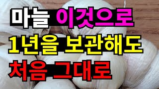 마늘 보관하는 방법! 이것보다 좋은 방법은 어디에도 없습니다.보관 용기도 중요합니다.