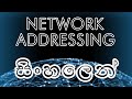 IP Addressing In Sinhala නෙට්වර්කින් සිංහලෙන්