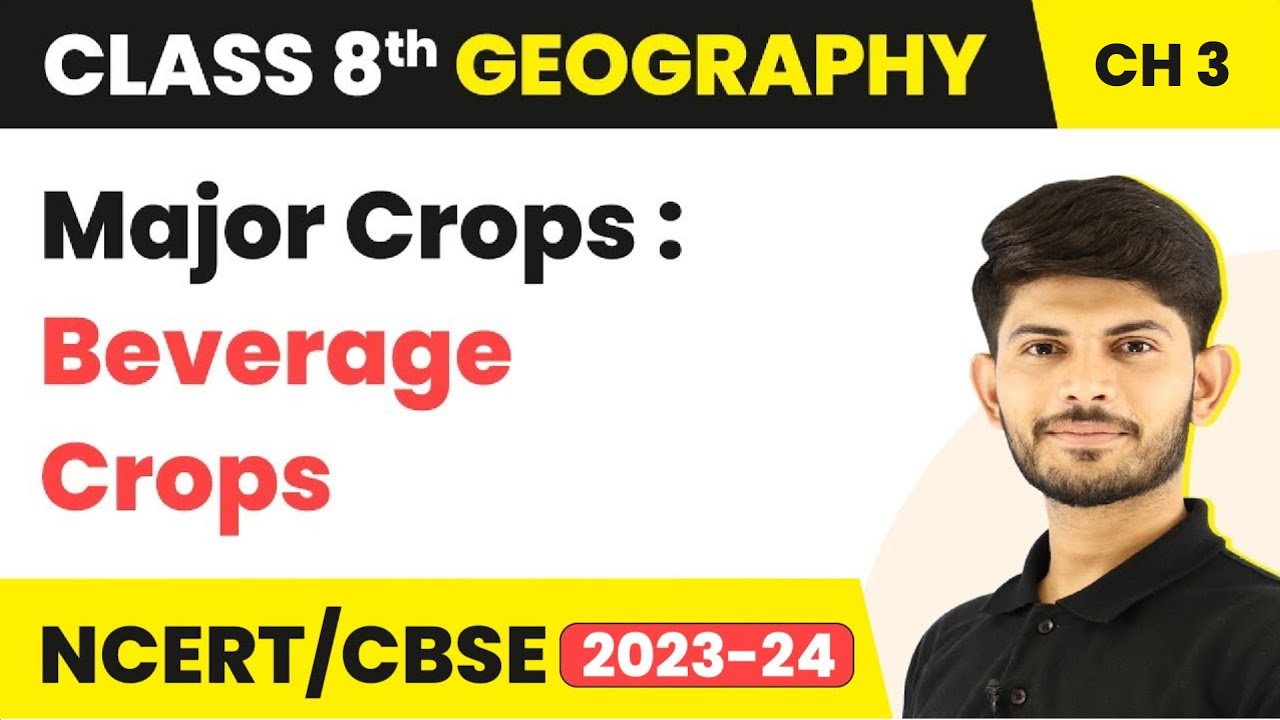 Major Crops : Beverage Crops - Agriculture | Class 8 Geography | 2023-24