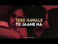 Tere Hawale x Tu Jaane Na | Sagar Swarup Mashup