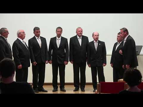 Oktet Valvasor - Trajnaninanena