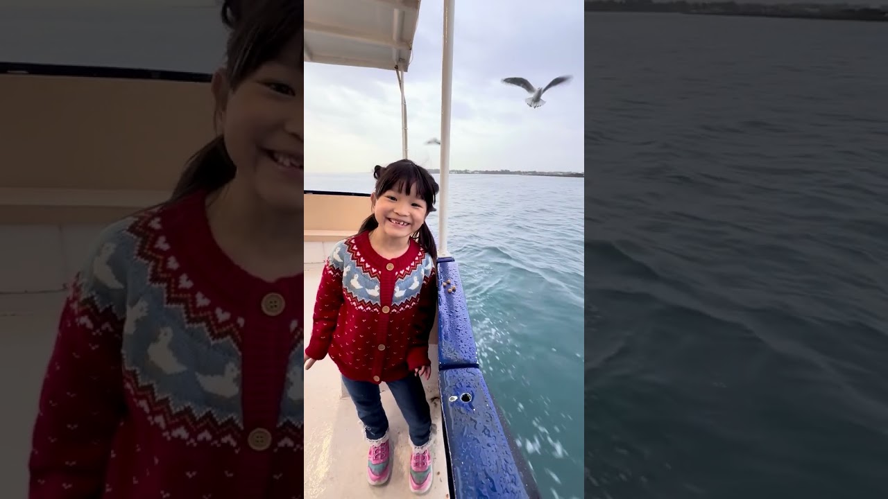 かもめにエサやり