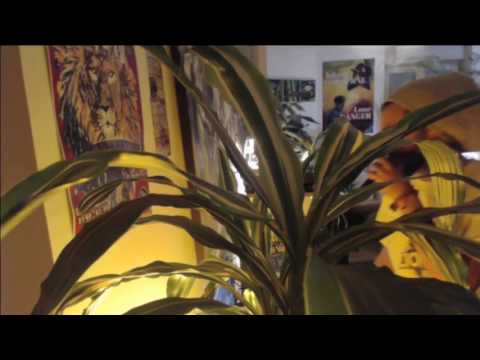 Chillin Bass #9 - hosted by Zion Way Hifi sound