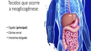gliconeogênese via e regulação