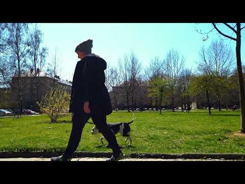 Ostrava 2022 - Relax in the park in Poruba (Czech Republic)