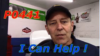 How To Diagnose P0441 2013 Hyundai
