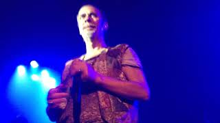 Peter Murphy- My Last Two Weeks- LIVE