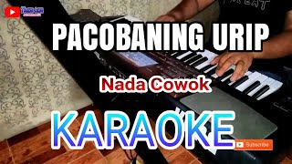 Download lagu PACOBANING URIP Karaoke Dangdut Koplo Nada Pria... mp3