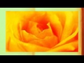 Omar Akram - Opal Fire (MLG Reflection: Battle)