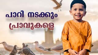Download lagu പാറി  നടക്കും പ്രാവുകളെ.., 🖤🖤🖤.മാഷാ അല്ലാഹ് 😍 hanna molude പാട്ടുമായി mazi mon😍 mp3