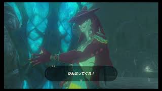 （練習）りあのゲーム実況【ゼルダの伝説no.3】～ゾーラまで