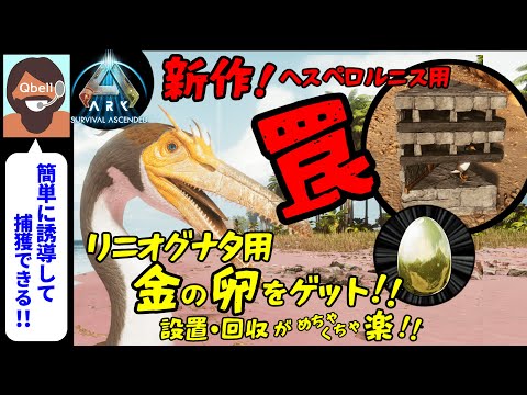 国立自然史博物館のヘスペロルニス・レガリス