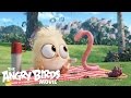 The Angry Birds Movie See The Brand New Hatchlings Short In Theaters