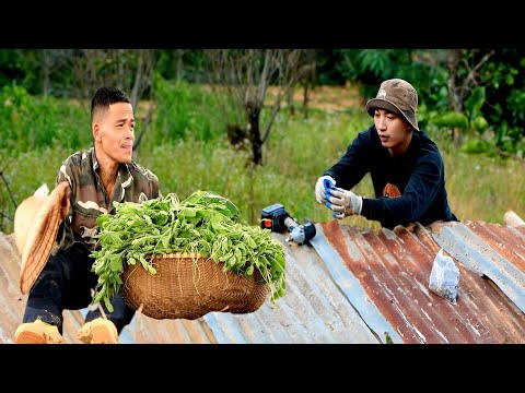 Tuan and Uncle Manh Finish the Pigsty Roof: Grandpa’s Joy at the Morning Market