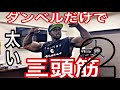【三頭筋】第2 。自重とダンベルだけで 太い腕