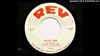 Dave Sterling - You&#39;re Here (Rev 3510)