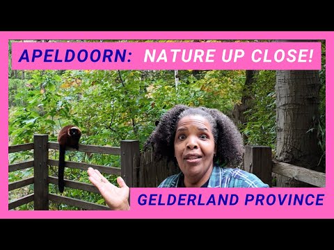 Gelderland Province:  Apeldoorn Travel Guide | Apenheul & Park Berg en Bos