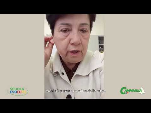 Anteprima Video Liceo Meucci