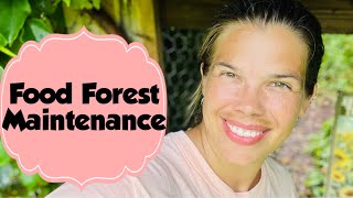 Food Forest Maintenance | Super Satisfying Garden Clean-Up