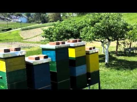 Med Radošević 2012. by Pčelarstvo Radošević