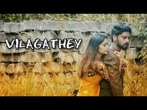 Vilagathey album lyrics  song | Stephen zechariah  ft Rakshita suresh💘💘💘💘