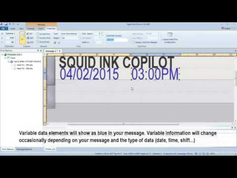 Squid Ink's Orion Software Overview