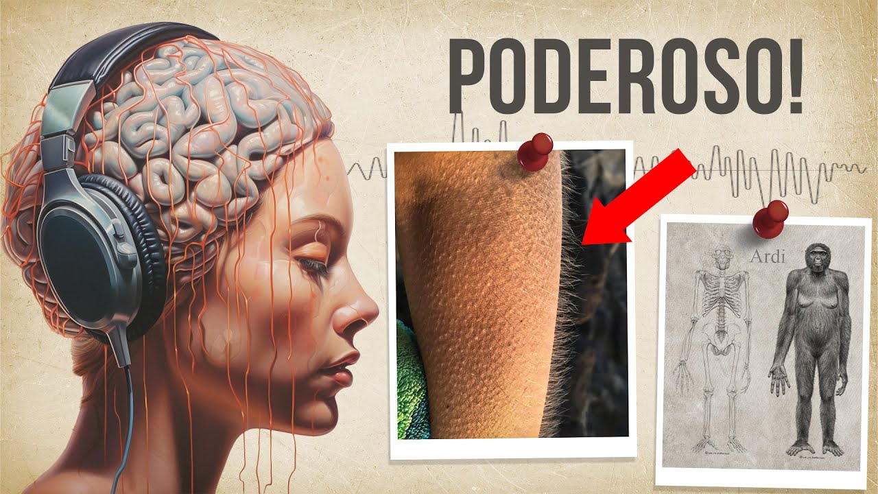 O Poderoso Impacto da Música no Cérebro (Experimente)