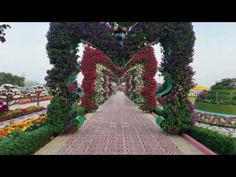 Through the flower gates-2