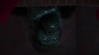 Gorilla Glue The Gorilla Who Stole Christmas