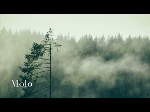 Villager SA & SmagSoul - Molo