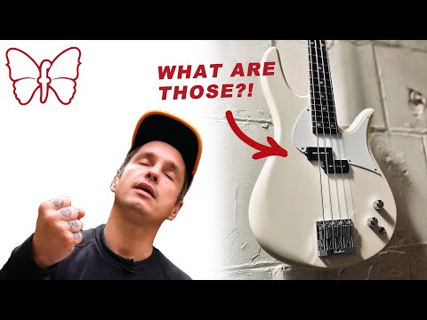 Demo | Fodera CUSTOM Monarch 4 Bolt-on with Nordstrand P Blades 🦋