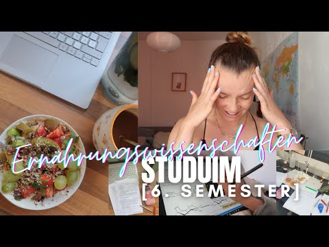 mein Studium zur Ernährungswissenschaftlerin ▹6. Semester, Module & Struggles