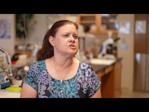 ZIKA VS. CHILDHOOD CANCER: THE BATTLE BEGINS!