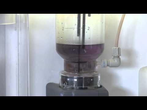 Garant: Wareneingangskontrolle