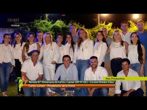 Remate 87° Aniversario Carlos J Lanser SA Coronel Moldes Cba. (2° Parte)