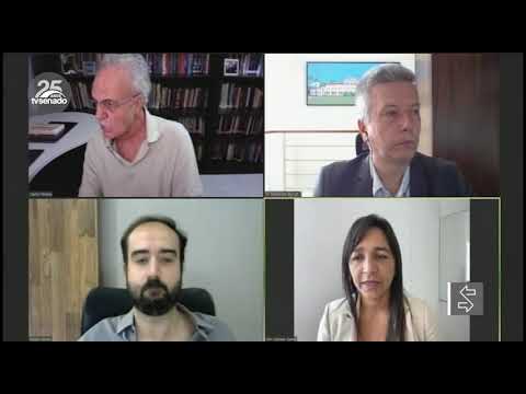 Desmatamento da Amazônia acontece em terras públicas federais, dizem debatedores