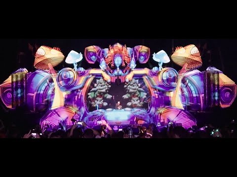 Darky' @ Mushroom World Festival 2025 (FULL SET)