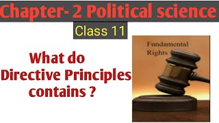 What do Directive Principles contains ? / Rights in the Indian Constitution class 11 pol sci