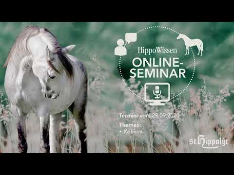 HippoWissen Fütterungsseminar: Koliken - Magengeschwüre – Kotwasser