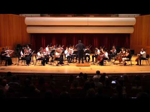 Rikudim Suzuki Institute