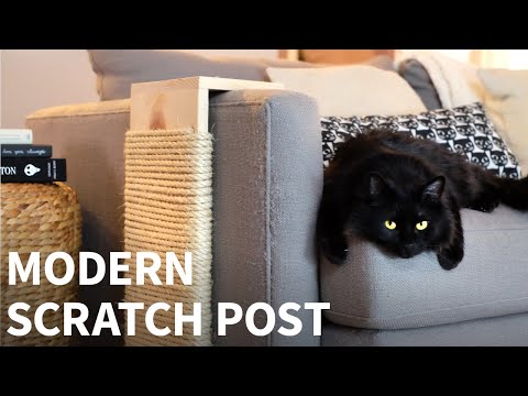 My cat decided the chair was her new scratching post. Is there any