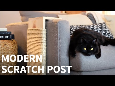 This Creative Hack Will Repair Any Cat-Scratched Sofa