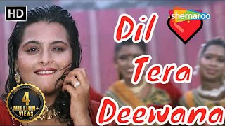 Dil Tera Deewana Hai  Kumar Sanu Hit songs  Sunil 